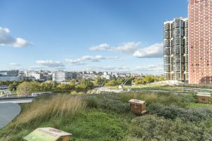 Beaugrenelle Ruches Apsys centre commercial