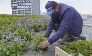 2021 01 Beaugrenelle Paris_Wesh Grow ©McCann pour Apsys (3)