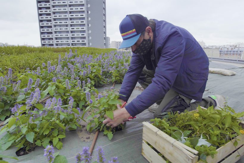 2021 01 Beaugrenelle Paris_Wesh Grow ©McCann pour Apsys (3)